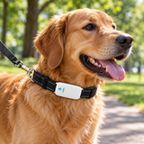 TK911 GPS lokator za kućne ljubimce